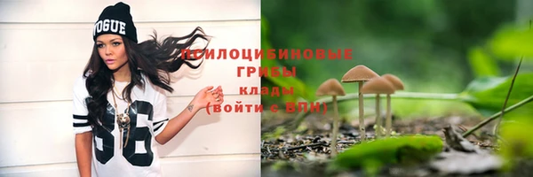 МДПВ Белоозёрский